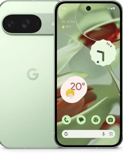 Google Pixel 9 12/256Gb Wintergreen