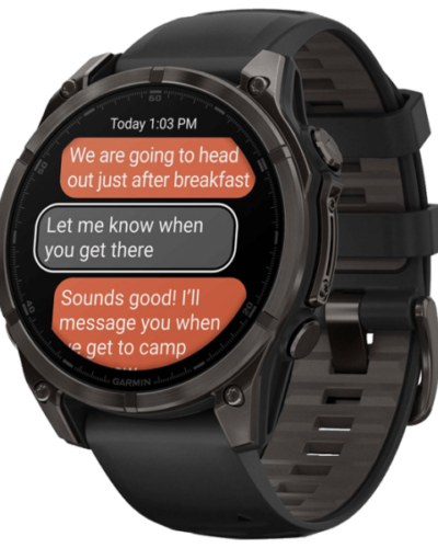 Garmin Fenix 8 Gray