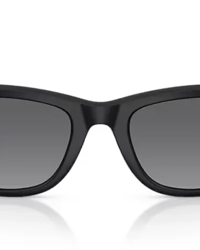Ray-Ban Meta Wayfarer Matte Black, Polar Gradient Graphite Gen 2 RW4012